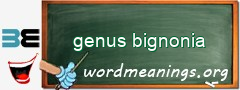 WordMeaning blackboard for genus bignonia